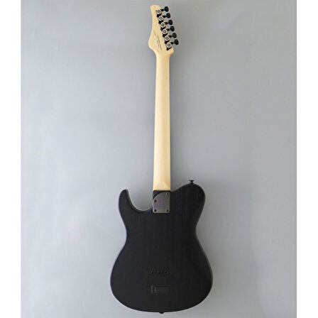 Fujigen Iliad Elektro Gitar JIL3ASHDE664R/OPB