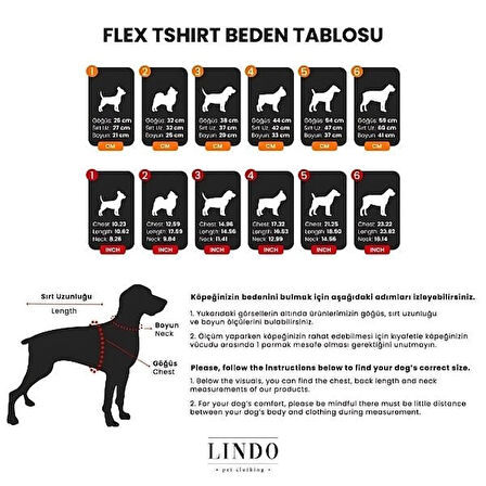 Lindo Dogs Honey Pie Tshirt (Body) Beden 5