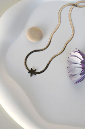 Mini Yıldızlı Çelik İnce İtalyan Kolye Yıldız Detaylı