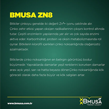 BMusa Zn8 Çinko Sülfat Gübresi 1 litre
