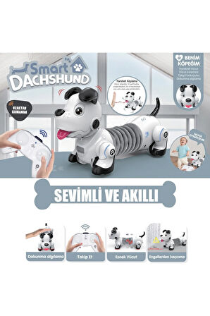 Uzaktan Kumandalı Işıklı ve Sesli Akıllı Robot Köpek 33 cm Sesli Full Fonksiyon Köpek