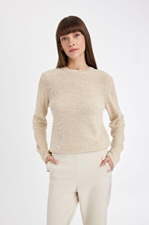 DeFacto Regular Fit Bisiklet Yaka Simli Kumaş Triko Kazak D0405AX24WNER105