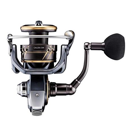 Daiwa Caldia 22 SW 8000 P Jig Olta Makinesi