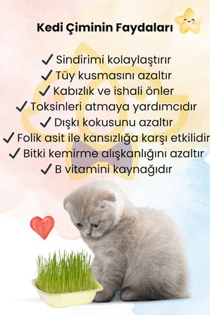 Kedi Çim Seti 2 Adet Doğal Kedi Çimi 1 Adet Avokado Catnip Kedi Nanesi Oyuncağı Sindirim Rahatlatıcı