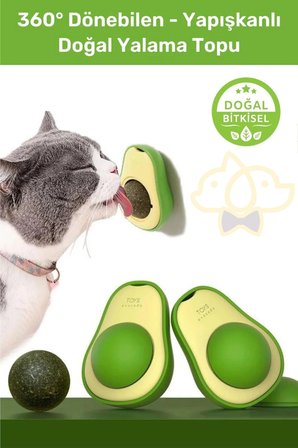 Kedi Çim Seti 2 Adet Doğal Kedi Çimi 1 Adet Avokado Catnip Kedi Nanesi Oyuncağı Sindirim Rahatlatıcı