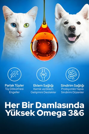 kedi ve köpekler i̇çin norveç somon balık yağı 250 ml