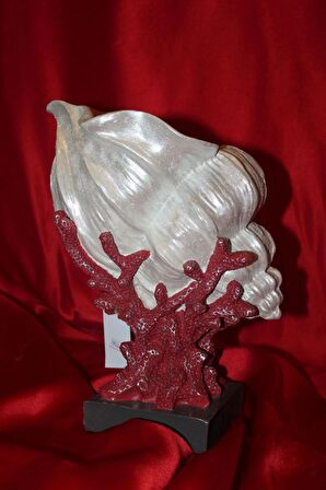 Biblo İstiridye Şhel Deniz Kabuğu İnci Elişi Hand Made Shel