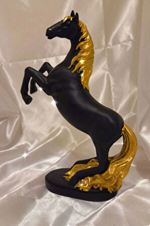 Kaideli Şahlanan KırAt Gold Yeleli Siyah