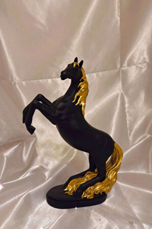 Kaideli Şahlanan KırAt Gold Yeleli Siyah