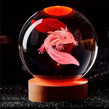 3D Led Işık Cam Küre Çok Renk Gece Lambası Axolotl Mucizevi Yenilenme 8 cm Mega Boy
