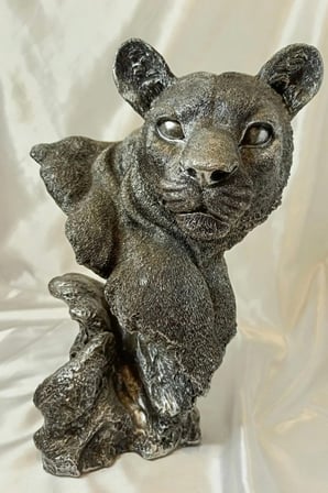 Aslan Kaplan Jaguar Biblo