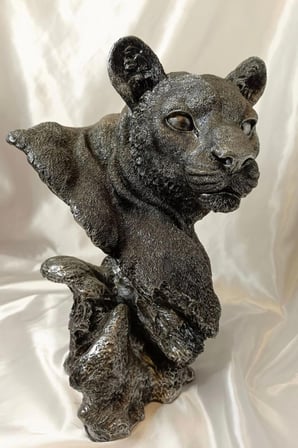 Aslan Kaplan Jaguar Biblo