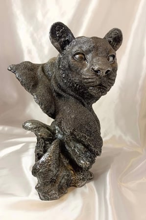 Aslan Kaplan Jaguar Biblo