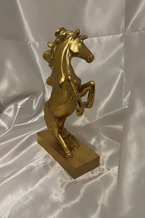 Kaideli Şahlanan KırAt Gold Yeleli