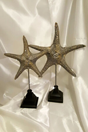 Dekoratif Traverten Zerafet Stone Deniz Yıldızı Biblo 2 Li Ayaklı