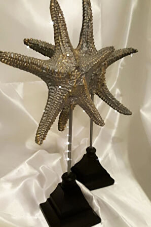 Dekoratif Traverten Zerafet Stone Deniz Yıldızı Biblo 2 Li Ayaklı