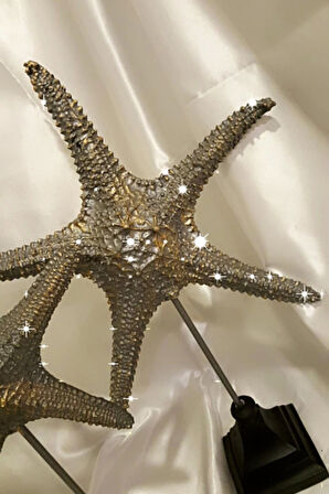 Dekoratif Traverten Zerafet Stone Deniz Yıldızı Biblo 2 Li Ayaklı