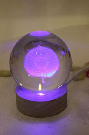 3D Led Işık Cam Küre Çok Işıklı Ahşap Hindiba Çiçeği
