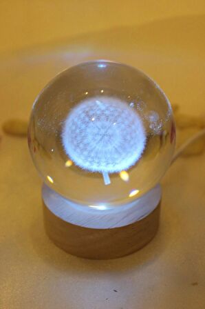 3D Led Işık Cam Küre Çok Işıklı Ahşap Hindiba Çiçeği