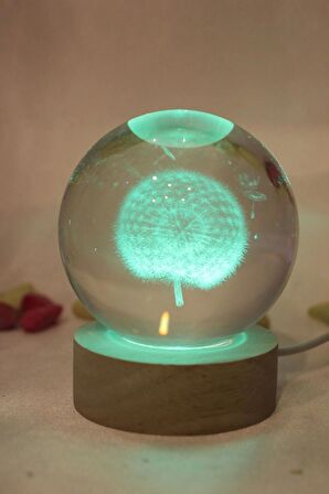 3D Led Işık Cam Küre Çok Işıklı Ahşap Hindiba Çiçeği