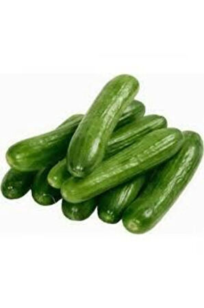 10 Adet Tohum Nadir Silor Parmak Salatalık Salatalık Çıtır Küçük Boy Salatalık Tohumu Sürpriz Hediye