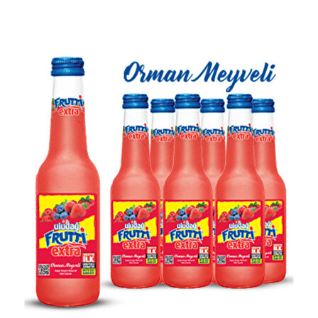 Frutti Extra Orman Meyveli 250 Ml X 6 Adet