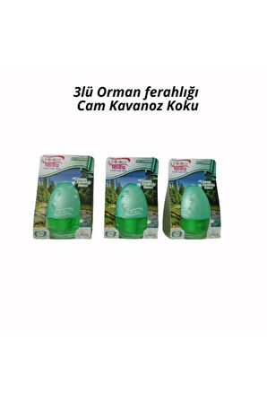 Araba ,ev ,ofis ,banyo Orman Ferahlığı Cam Kavanoz Koku 3lü