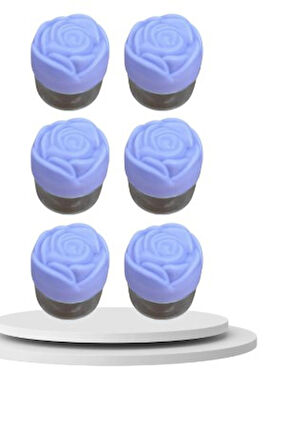 6'lı 25 cc Gül Kapaklı Pomad Kutusu – Krem, Merhem ve Kozmetik Ürünler İçin Boş Plastik Ambalaj