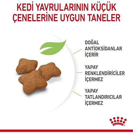 Royal Canin Kitten Sterilised Kısırlaştırılmış Yavru Kedi Maması 2 kg