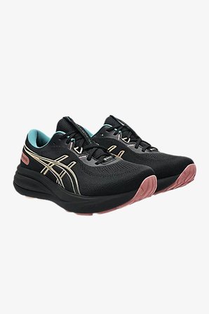 Asics Gel-Pulse 17 Gtx Kadın Siyah Yol Koşu Ayakkabısı 1012B926-001