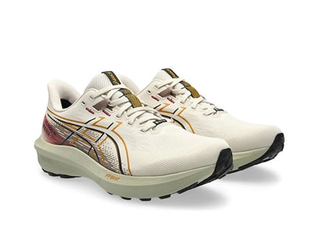 Asics GT-1000 15 GTX Erkek Outdoor Koşu Ayakkabısı 1011C233-250 Bej