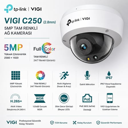 TP-Link VIGI C250 Dome 5 MP 360 Derece Gece görüşlü IP Güvenlik Kamerası