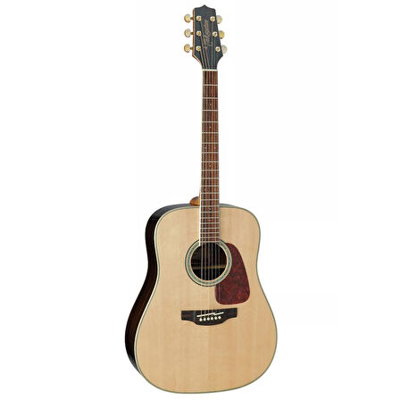 Takamine GD93-NAT Akustik Gitar