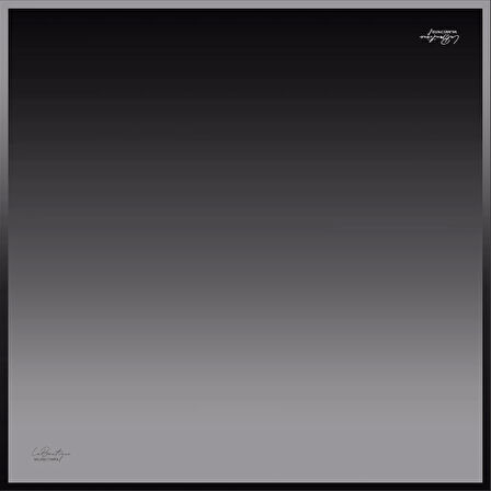 La Boutique Tivil Saf İpek Eşarp 28576 - 49029 Siyah Degrade Desen