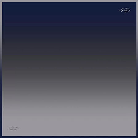 La Boutique Tivil Saf İpek Eşarp 128574 - 49032 Gri Degrade Desen