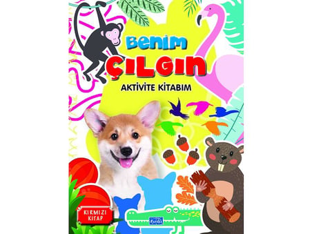 3-6 Yaşa Uygun Benim Çılgın Aktivite Kitabım Seti - 4 Kitap