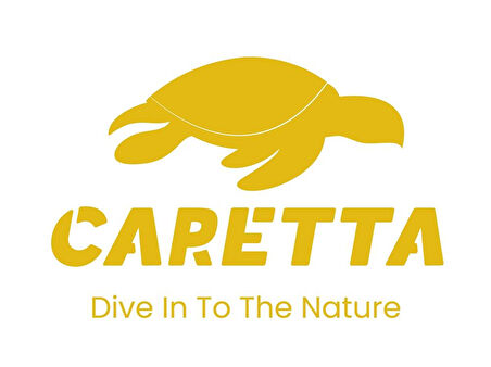 Caretta Force Jig Head ART ( Mafsallı ) 7 Gr