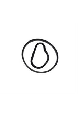 VAKUM POMPA ORİNG CONTA 206-207-308-307-407-C3-C4-C5-508 1.6HDI 459941