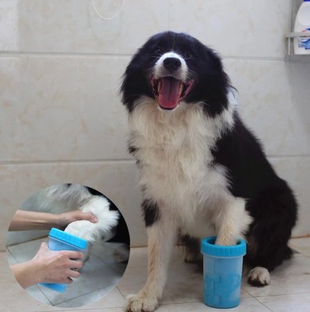 Welfare Köpek Pati Yıkama Aparatı Küçük Bx40