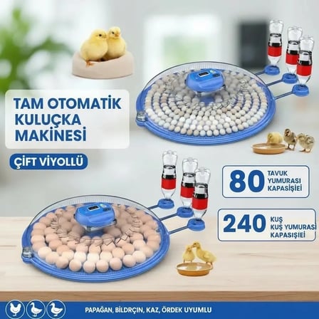 80 ve 240 Kapasiteli Fonksiyonel Tam Otomatik Kuluçka Papağan Mini Kuş Tavuk Kaz Ördek Uyumlu