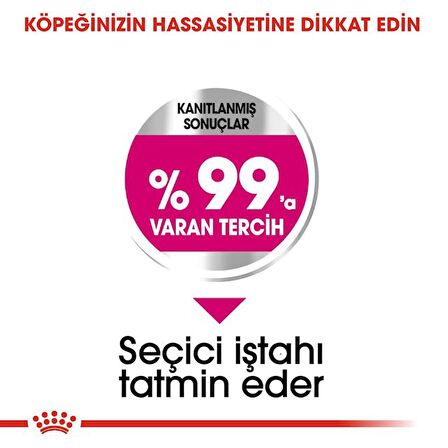 Royal Canin Mini Exigent Seçici Köpekler için Kuru Köpek Maması 3kg