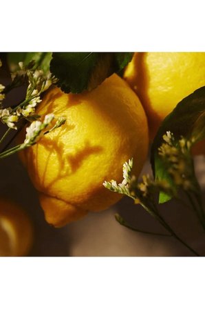 Oriflame Essense & Co. Limon Ve Mine Çiçeği Özlü El Ve Vücut Jeli Yeniden Dolum Paketi 300 Ml