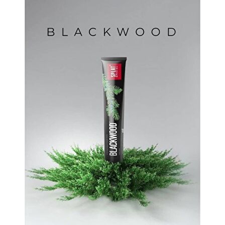 Splat Special Blackwood Güvenli Beyazlatma Diş Macunu 75 Ml-3 ADET-SKT:11/2025