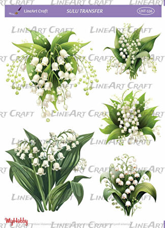 LNT536 Çiçek, Krem Tonları Açık Zemin Sulu Transfer 25*35 cm