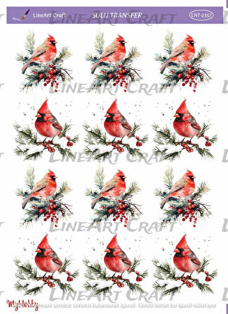 ST2357 Yeniyıl Serisi, Kızılgerdan Desenli Açık Zemin Sulu Transfer 25*35 cm