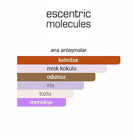 ESCENTRİC MOLECULE 02 75ML EDP ERKEK PARFÜM(İLKBAHAR,YAZ,SONBAHAR İÇİN UYGUN)