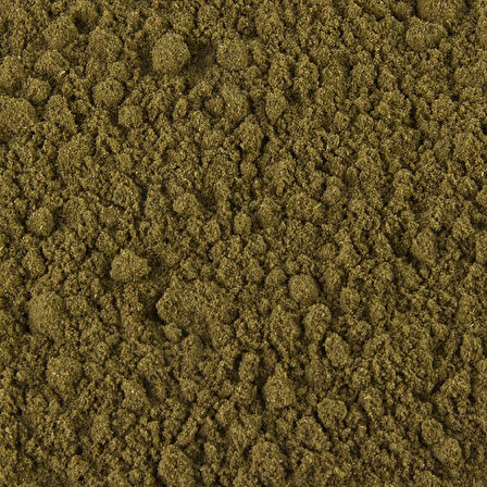 Kereviz Tohumu Öğütülmüş Tozu 500 gr (Celery Seeds)