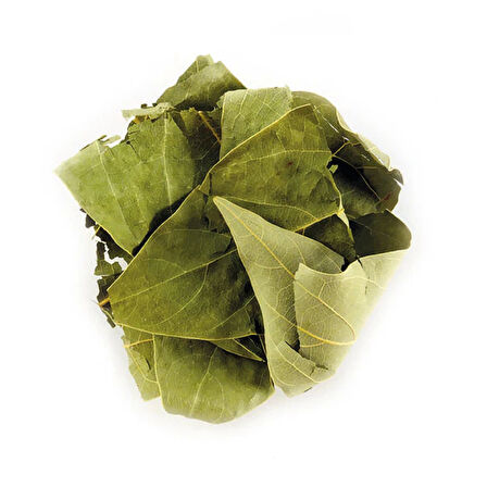 Avakado Yaprağı (Persea Gratissima) 250 g