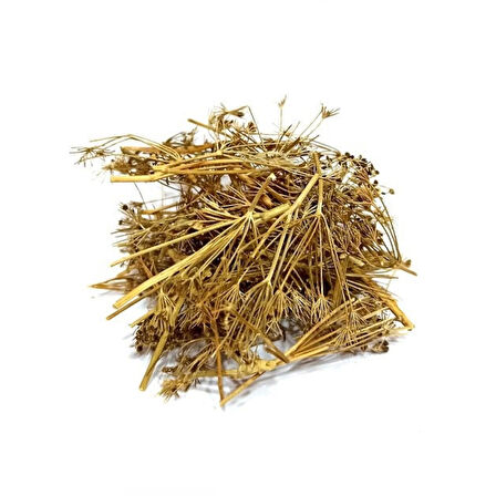 Melek Otu 250 Gr (Angelica archangelica), Derya Eren