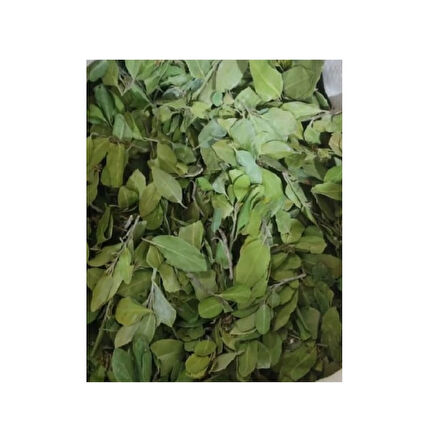 Sidr Yaprağı (Zizyphus Spina),Arabistan Kirazı Yaprağı, 500gr, Derya Eren